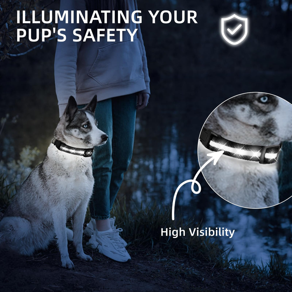 PetIsay collar LED, ajuste total, comodidad tipo nailon para largas caminatas.