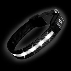 PetIsay collar LED brillante, vista frontal, ideal para paseos nocturnos.