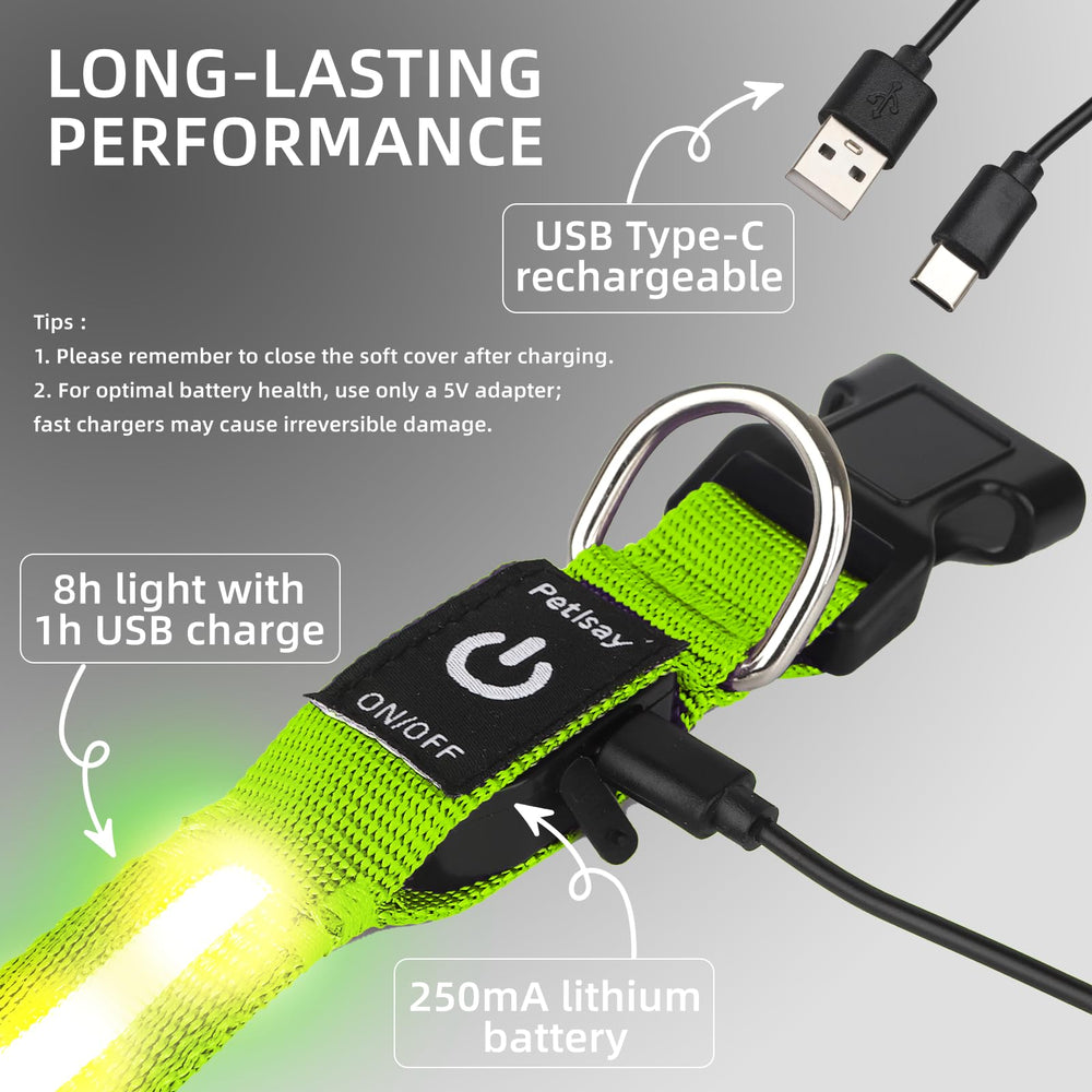 PetIsay collar LED USB-C, recarga rápida para paseos nocturnos