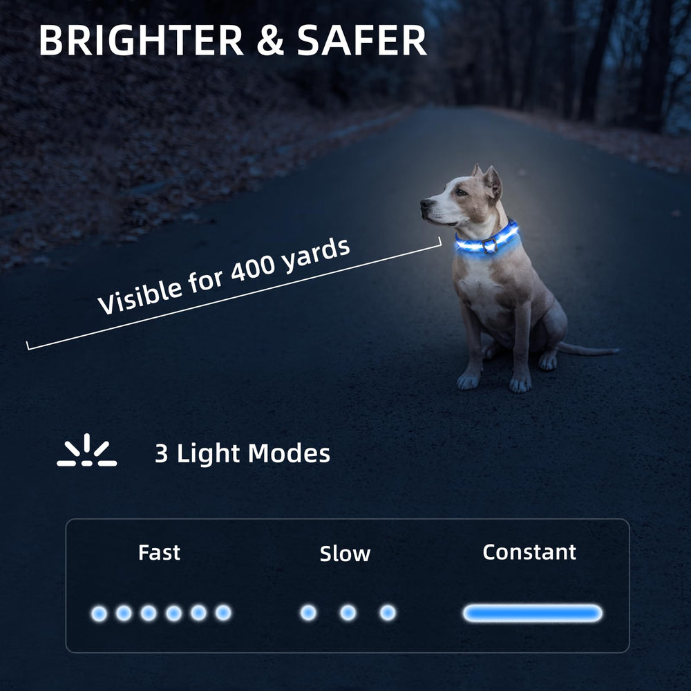 PetIsay collar LED con 3 modos para mayor visibilidad.