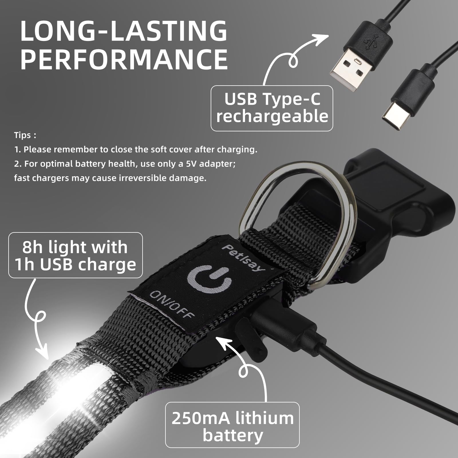 PetIsay collar LED, garantía de 90 días para tranquilidad.