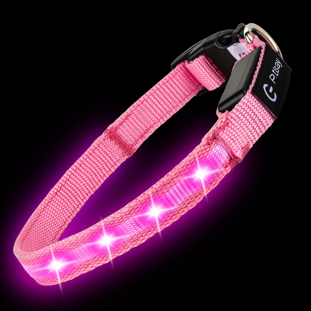 Collar LED PetIsay para gato pequeño, visible en nocturno para mayor seguridad.