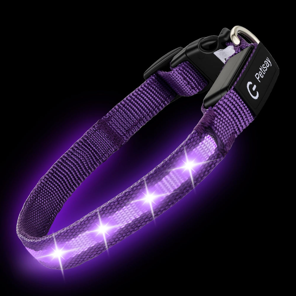 Collar LED PetIsay para gatos, seguro y visible en rutas oscuras.