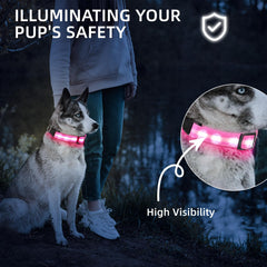 Collar LED PetIsay impermeable, ideal para lluvia y aventura al aire libre.