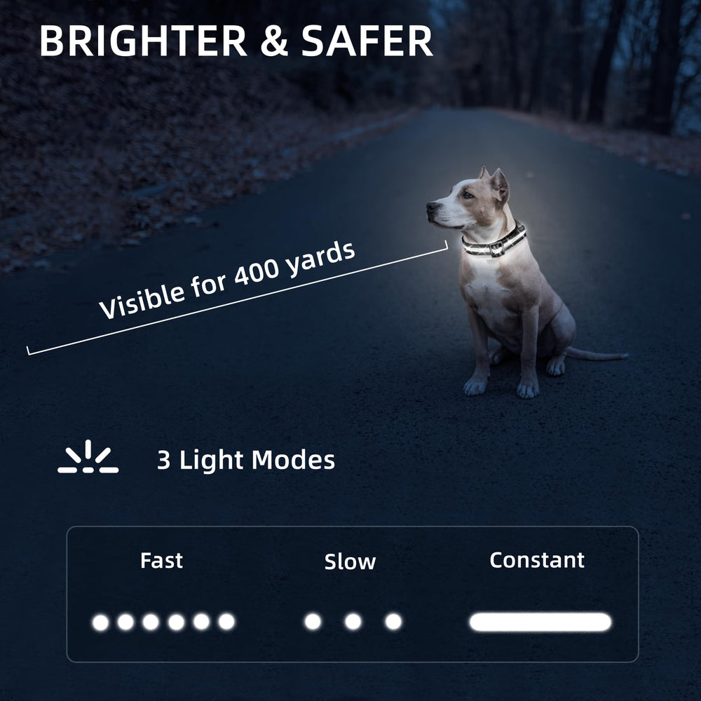 PetIsay collar LED brillante, modos de iluminación para caminatas en cualquier entorno.
