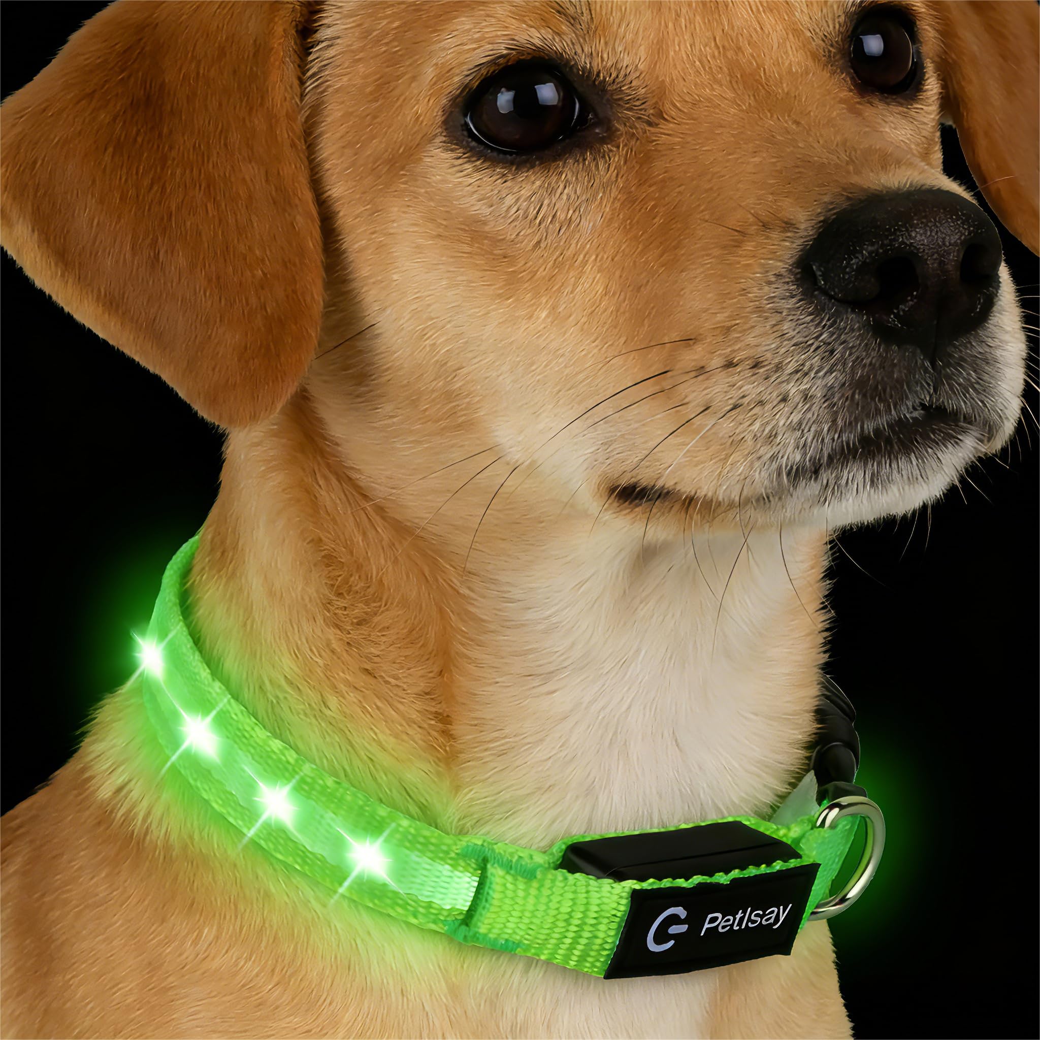 PetIsay collar LED para perros pequeños, mejor visibilidad nocturna para paseos