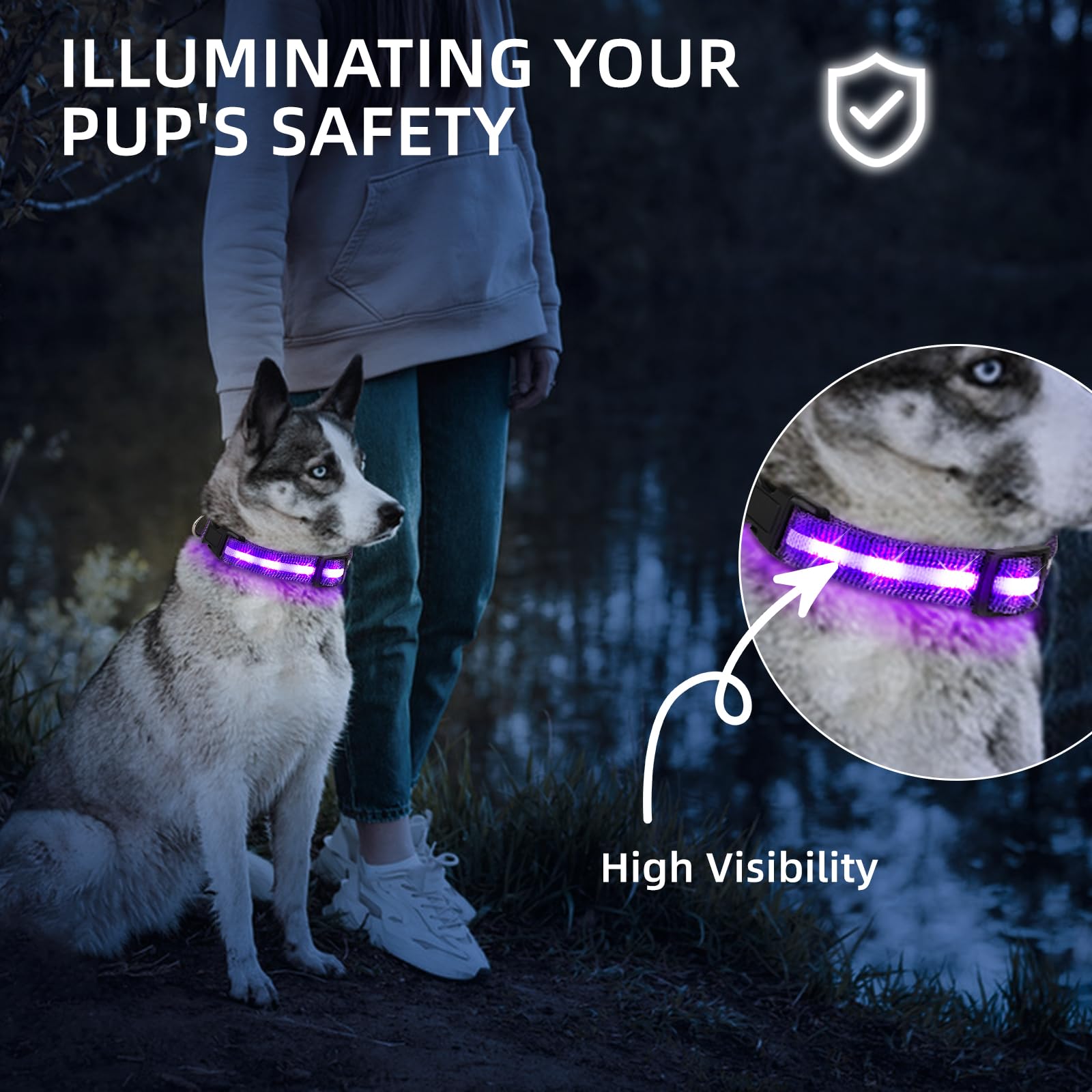 PetIsay collar LED morado con ajuste total para tallas personalizadas.