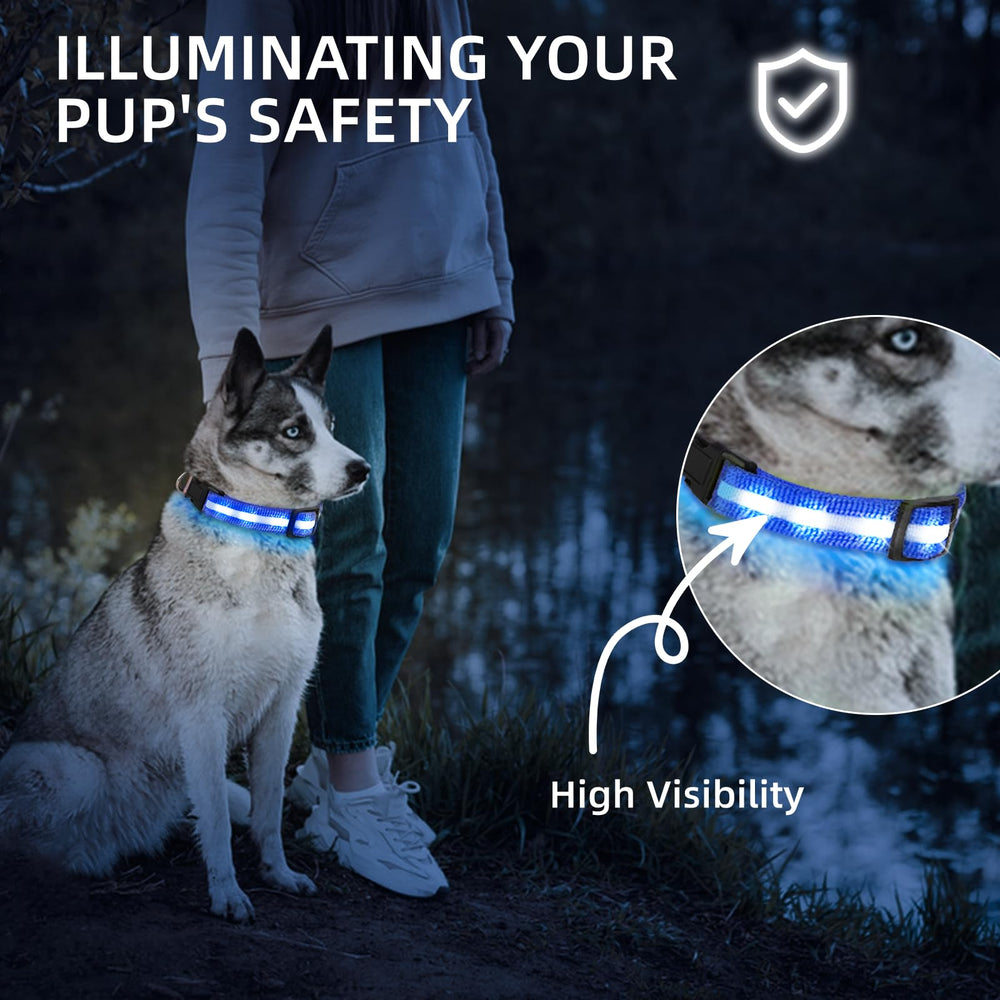 PetIsay collar con ajuste total para un ajuste cómodo durante caminatas.