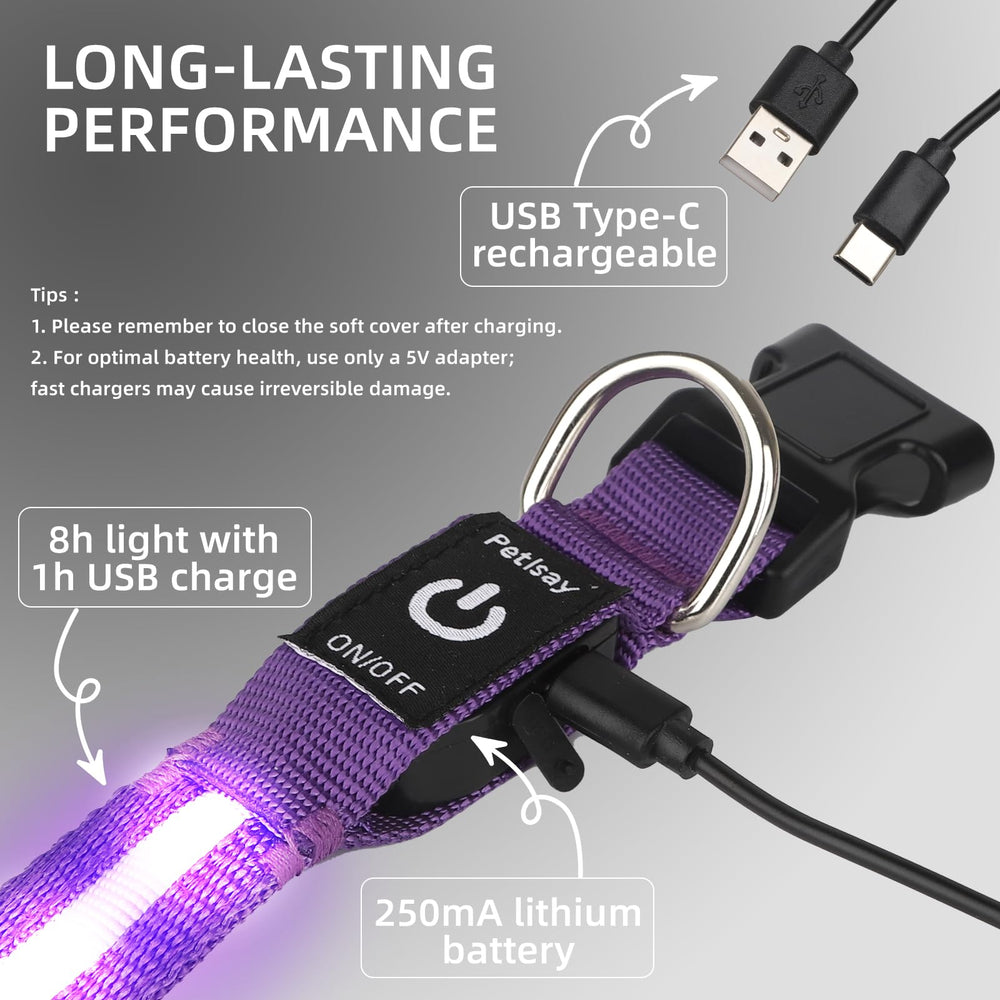 PetIsay collar LED morado con tacto suave y diseño cómodo.