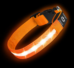 PetIsay collar LED para perro con luz brillante para paseos nocturnos.
