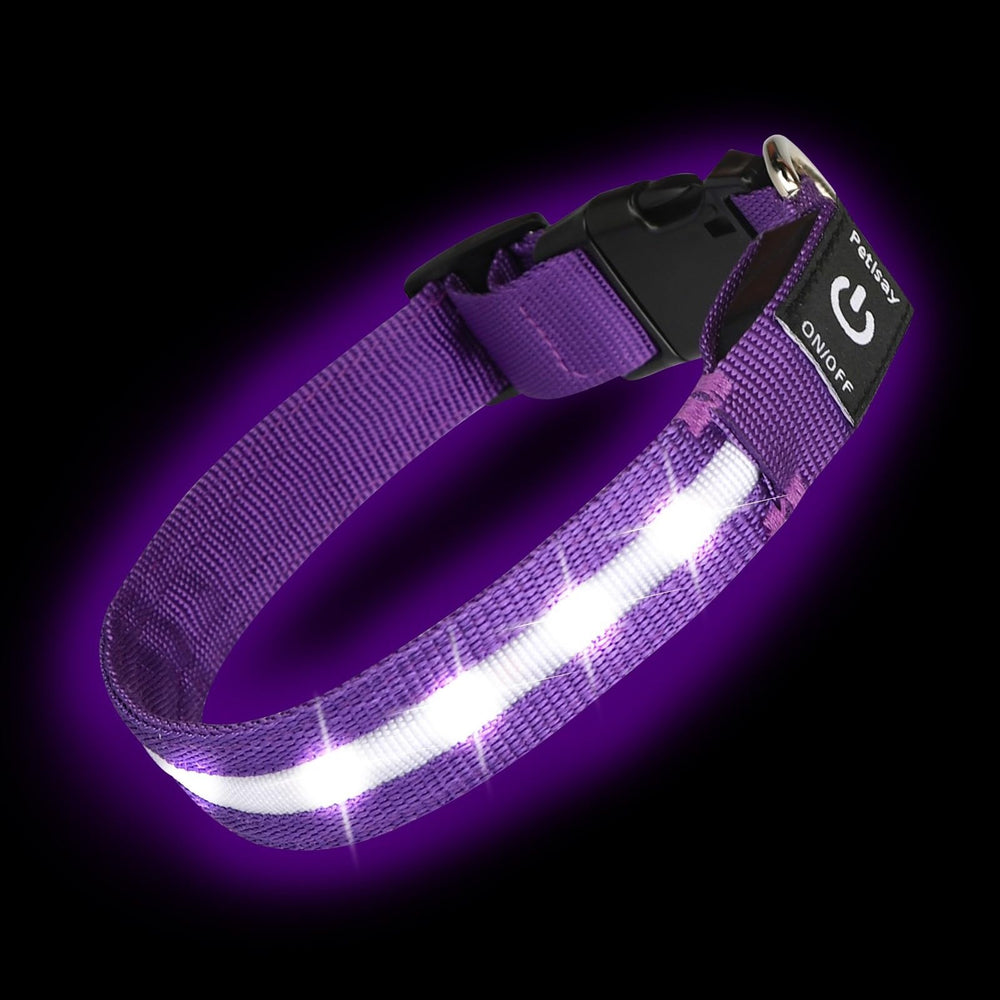 PetIsay collar LED morado brillante para paseos nocturnos con alta visibilidad.