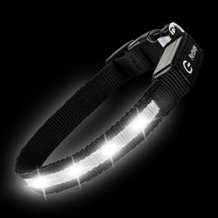 PetIsay collar LED con carga USB-C, recarga rápida para paseos nocturnos.
