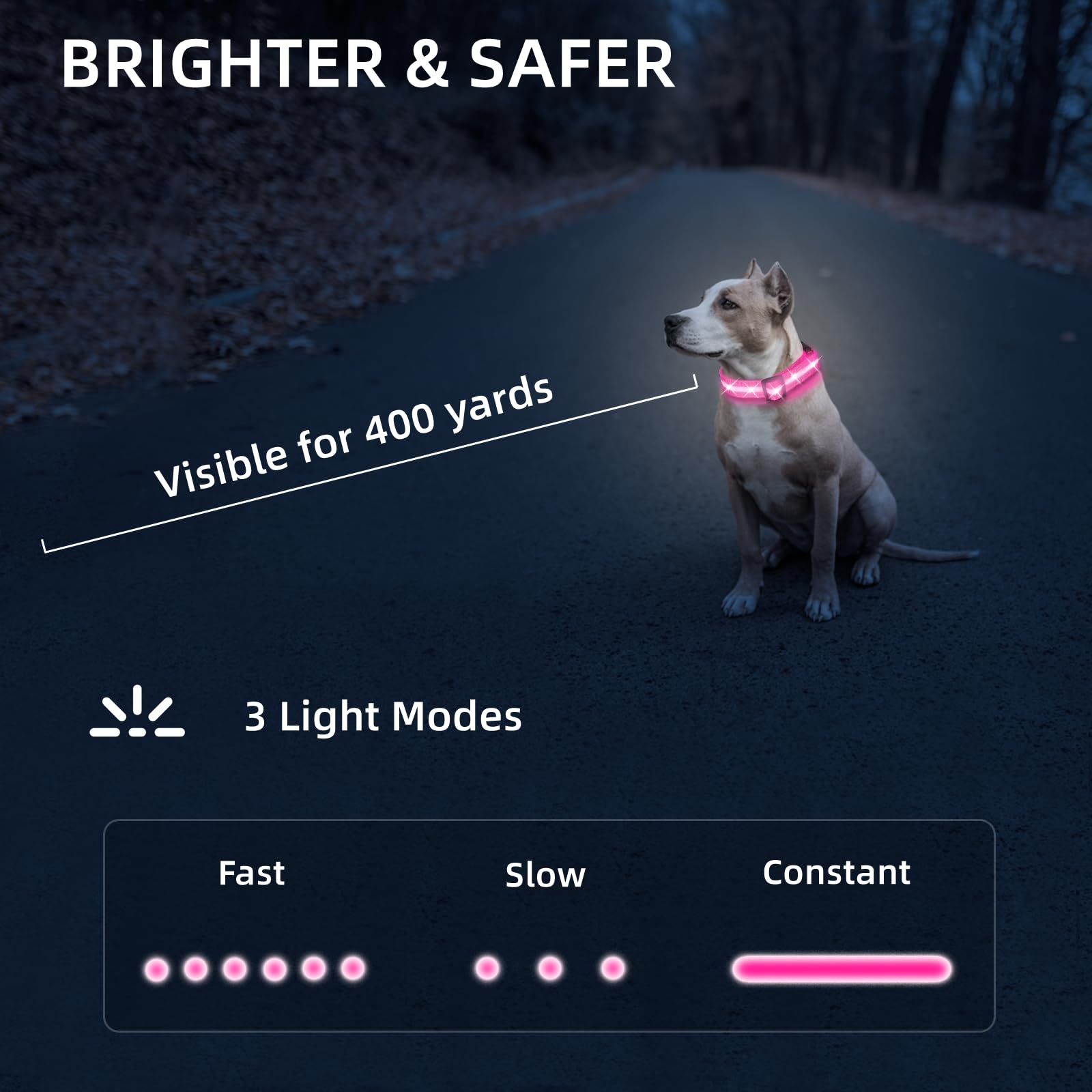 Collar LED PetIsay con USB-C, carga rápida para paseos nocturnos.