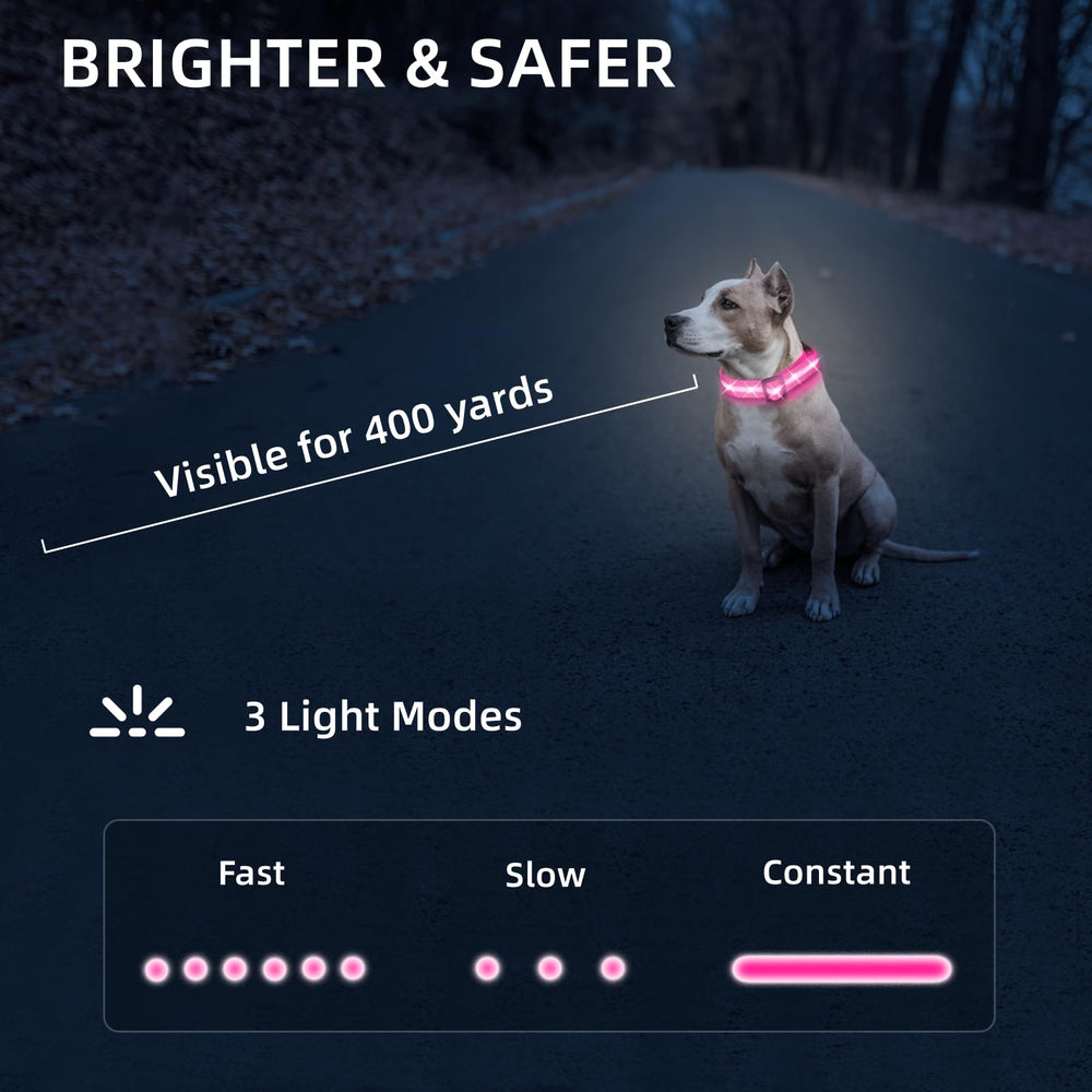 Collar LED PetIsay con USB-C, carga rápida para paseos nocturnos.