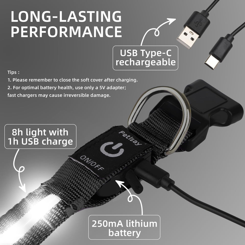 PetIsay collar LED brillante, garantía de reemplazo para mayor tranquilidad.