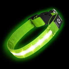 PetIsay collar perro con diodos luminosos brillantes verde para visibilidad nocturna.