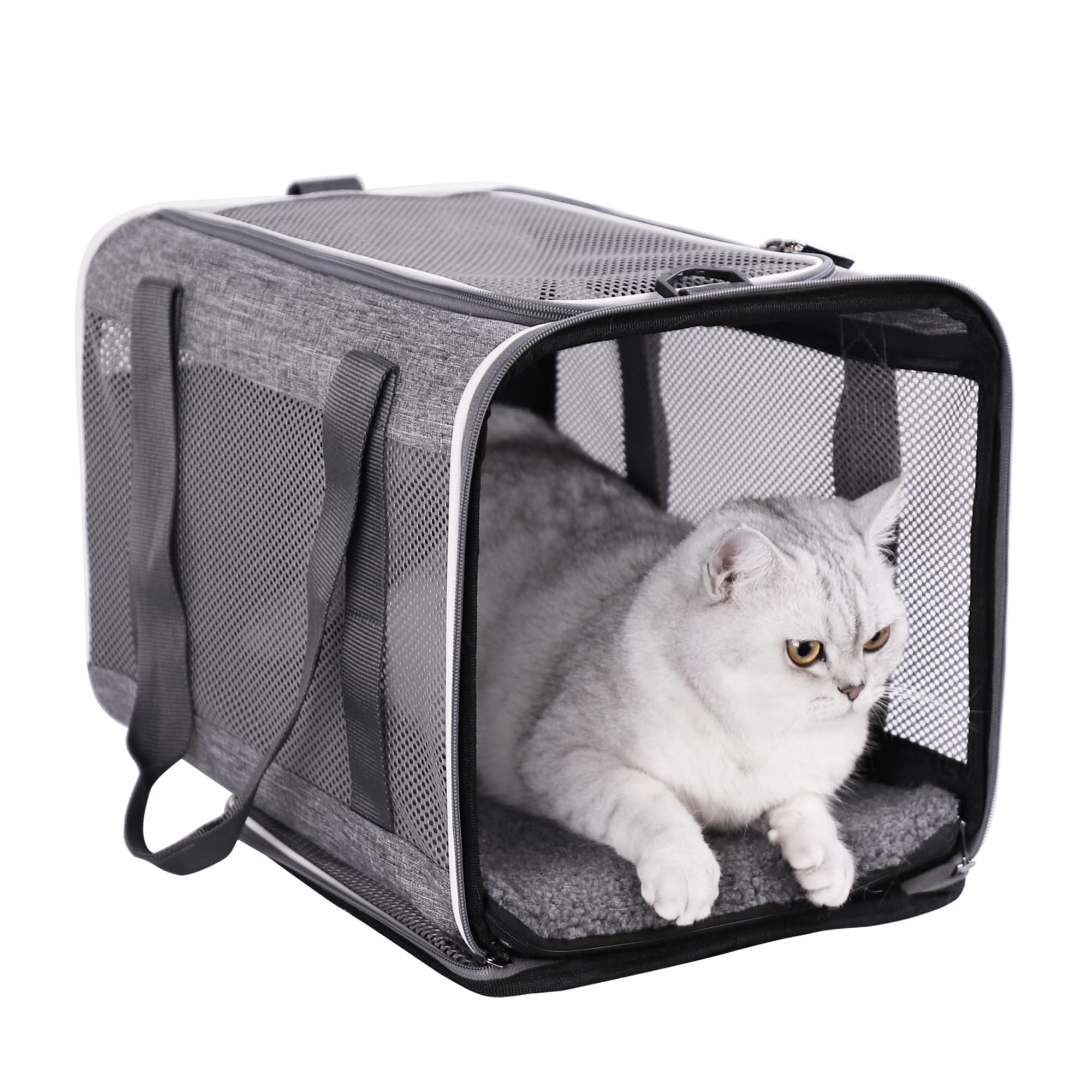 Petisfam bolsa transportadora suave para gatos, comodidad durante el viaje.