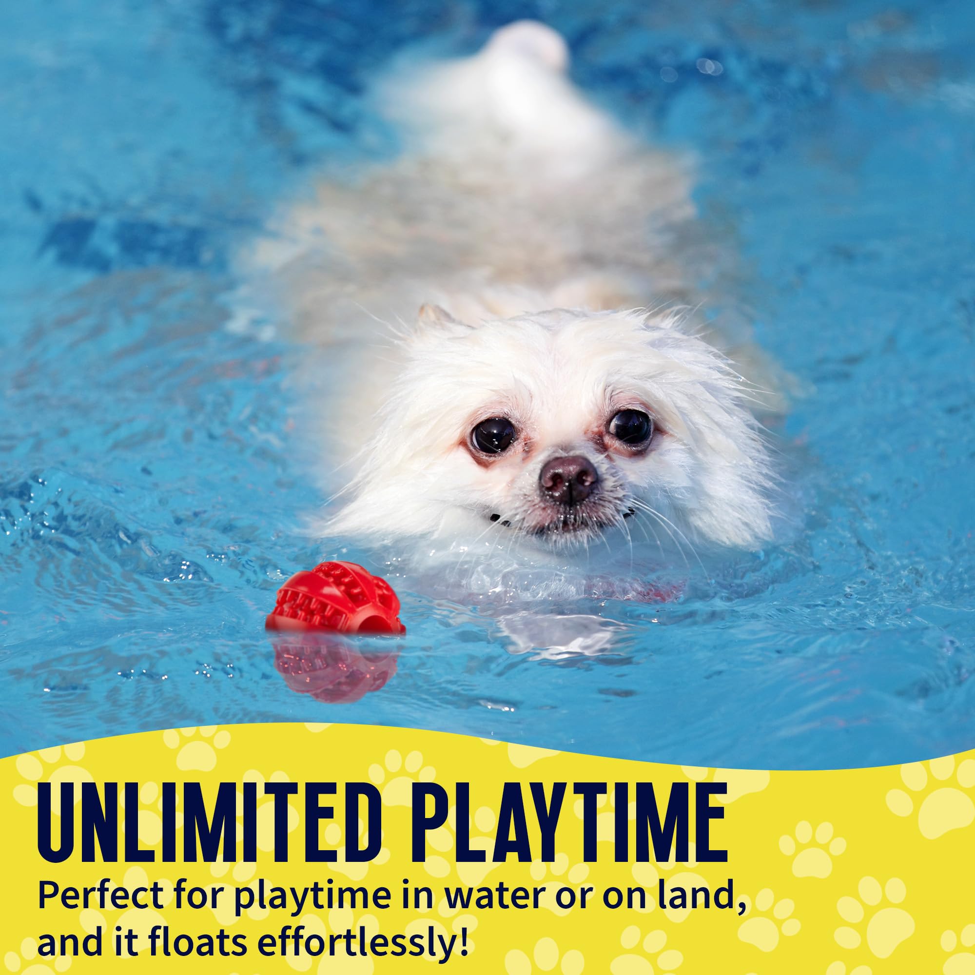 Petite Paws entretenimiento cognitivo para perros pequeños durante las sesiones de juego.