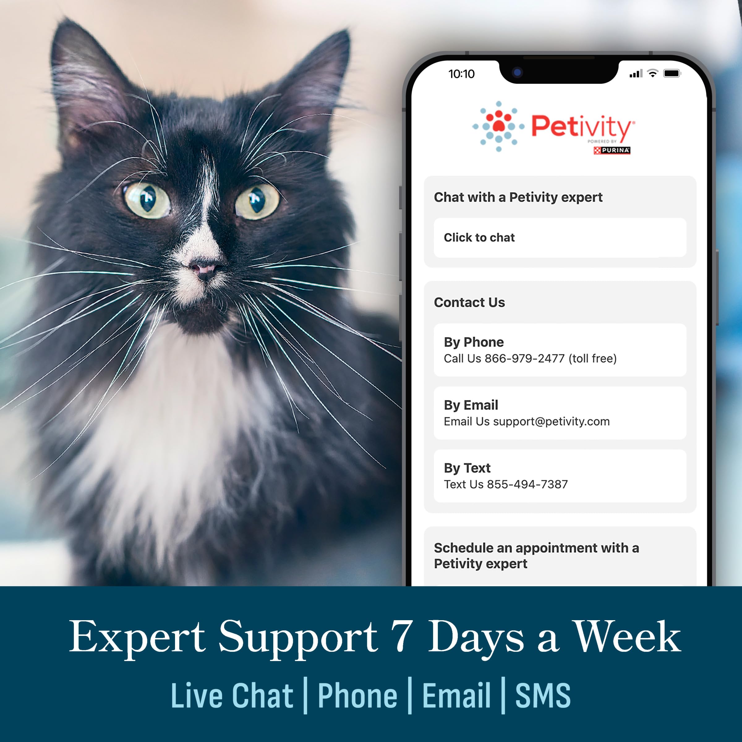 Petivity: informes para compartir con el veterinario y confirmar datos.