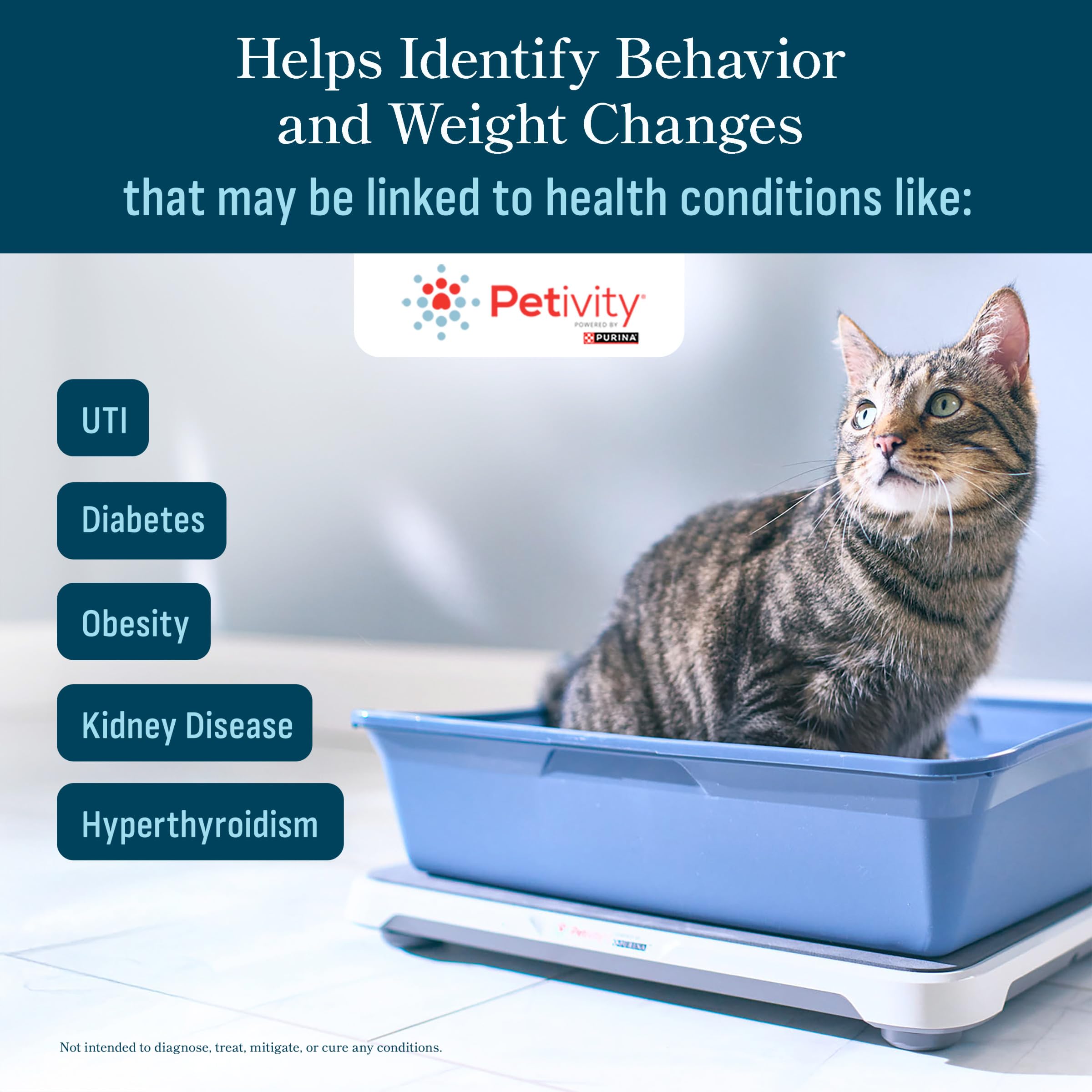 Petivity: informes de insights personalizados para entender la salud del gato.