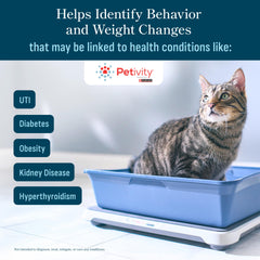Petivity: informes de insights personalizados para entender la salud del gato.