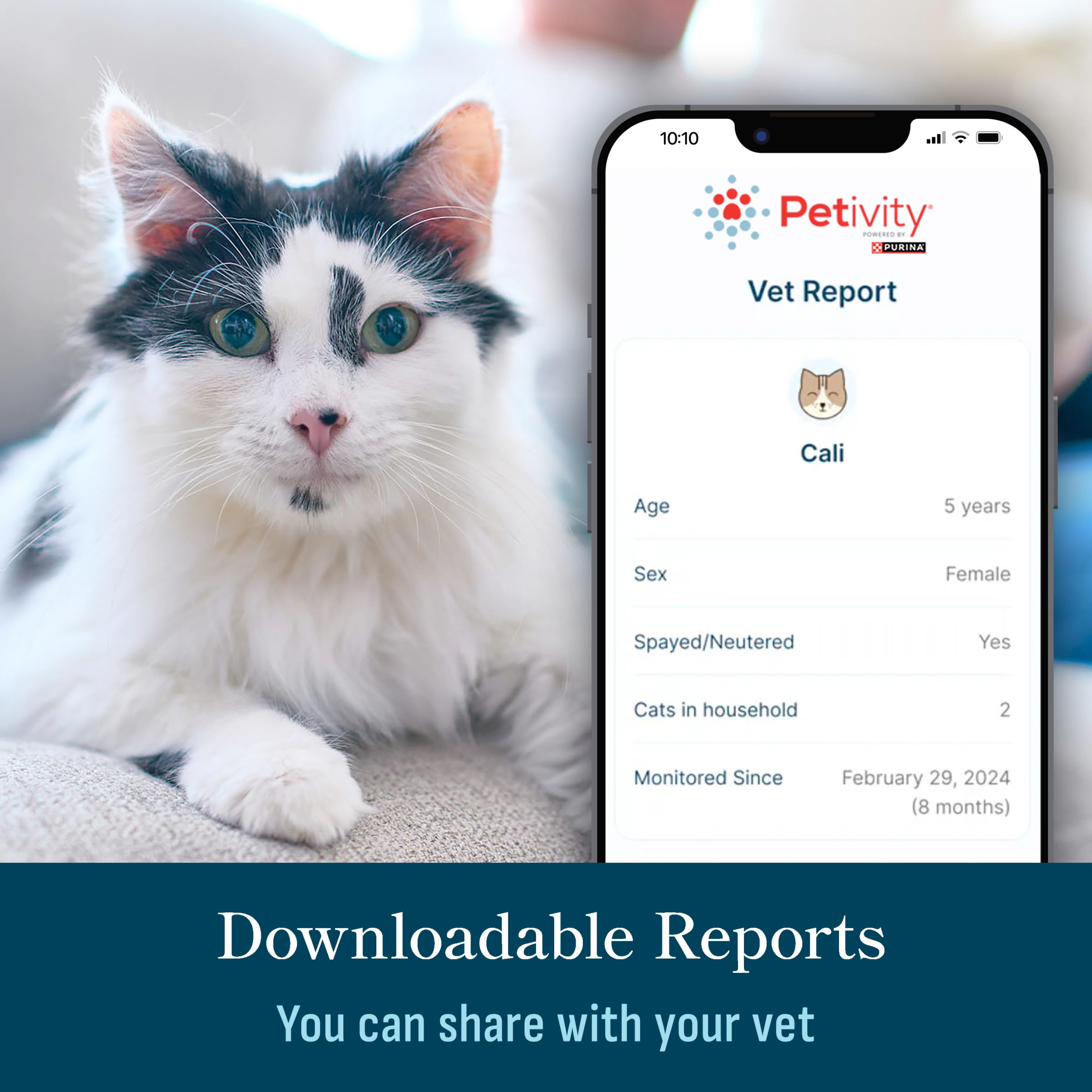 Petivity: beneficios para la salud felina sin collar ni chip.