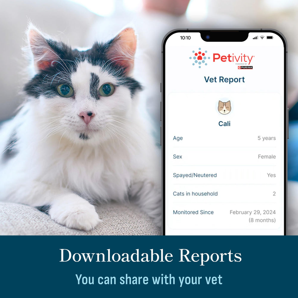 Petivity: beneficios para la salud felina sin collar ni chip.