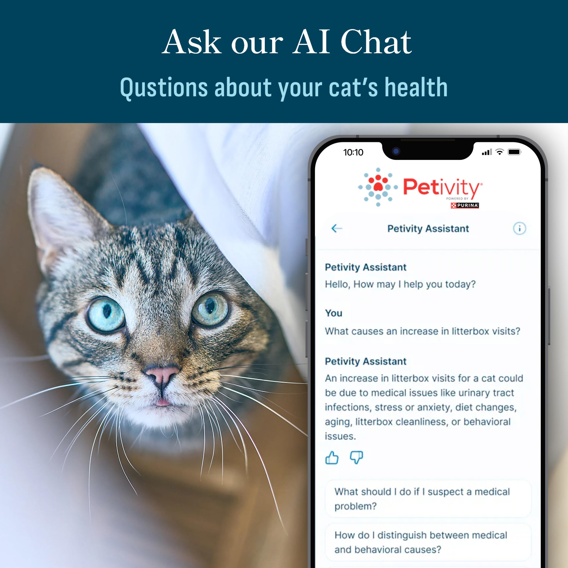 Petivity: alertas de cambios de hábitos para consultar al veterinario.