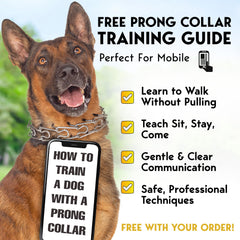 cerradura rápida POM del collar prong, colocación y retiro fáciles.