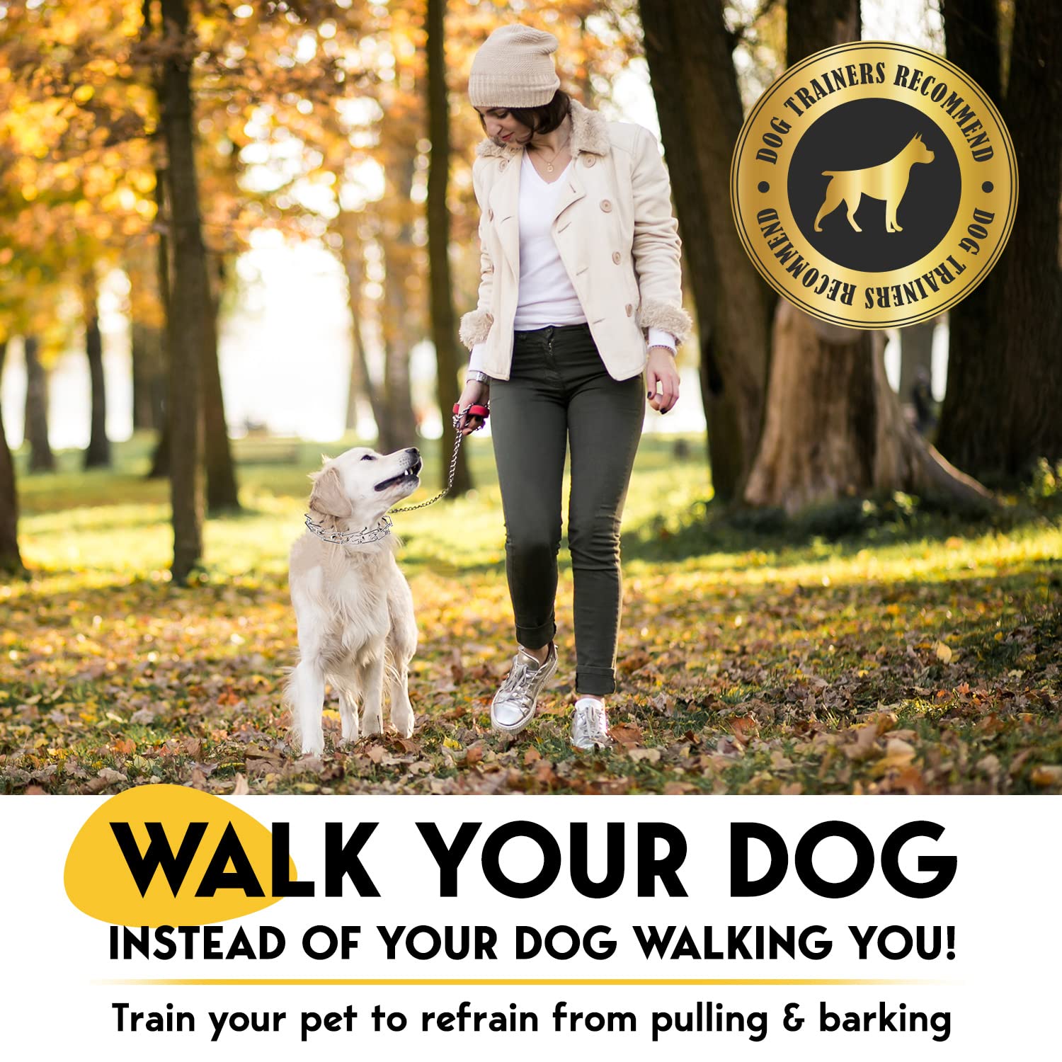 PET JETT collar de púas ajustable para todas las razas en entrenamiento