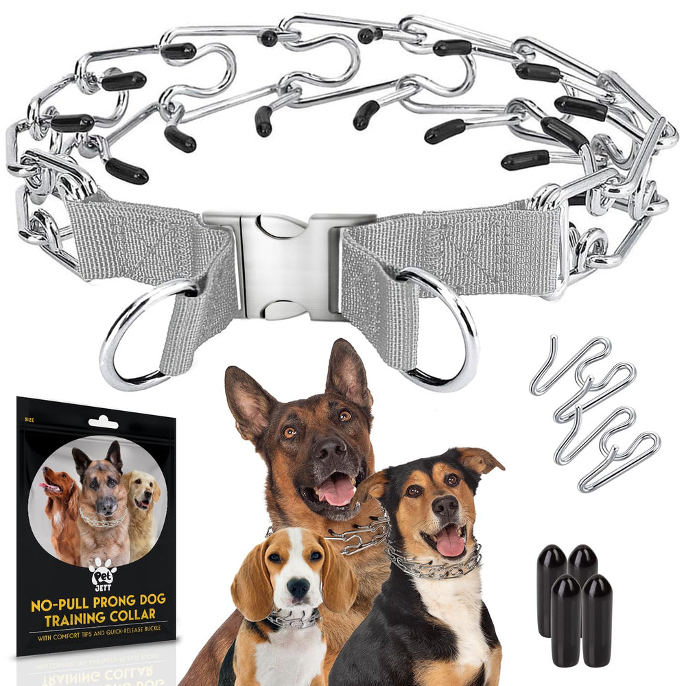 PET JETT collar de púas en paseo: mejora control y comunicación con tu perro
