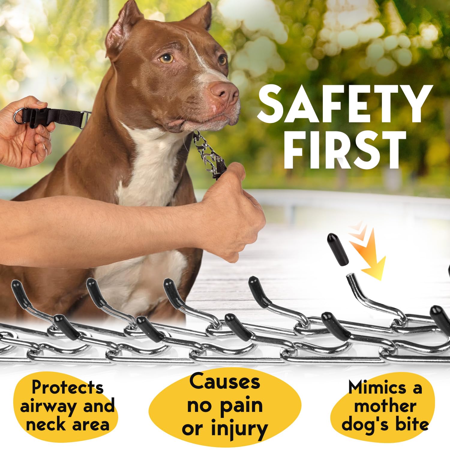PetJett collar de puntas en acero inoxidable resistente para uso diario