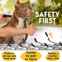 PetJett collar de puntas en acero inoxidable resistente para uso diario