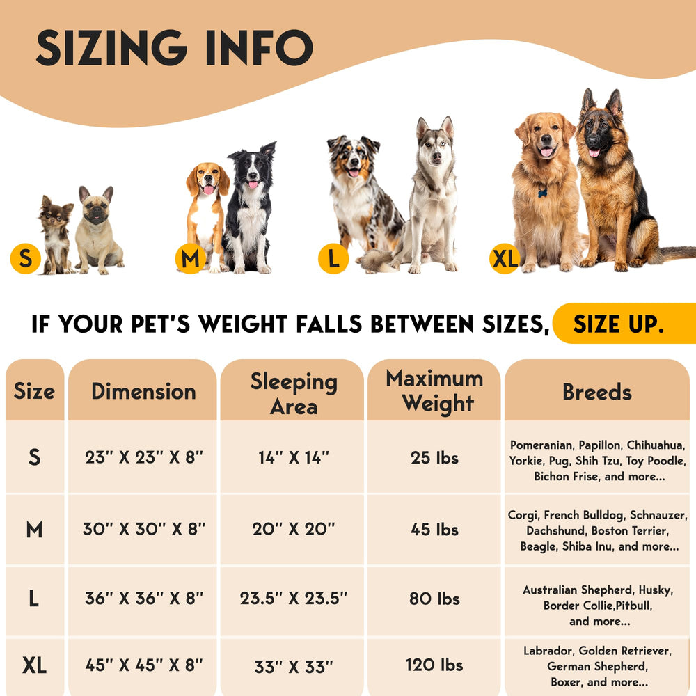 PetJett cama disponible en tallas para perros de hasta 45 lb.