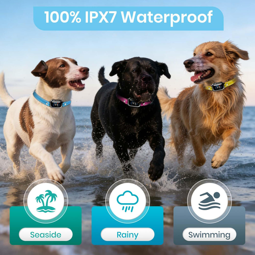PetJoy garantía de batería de 2 años ofrece tranquilidad.