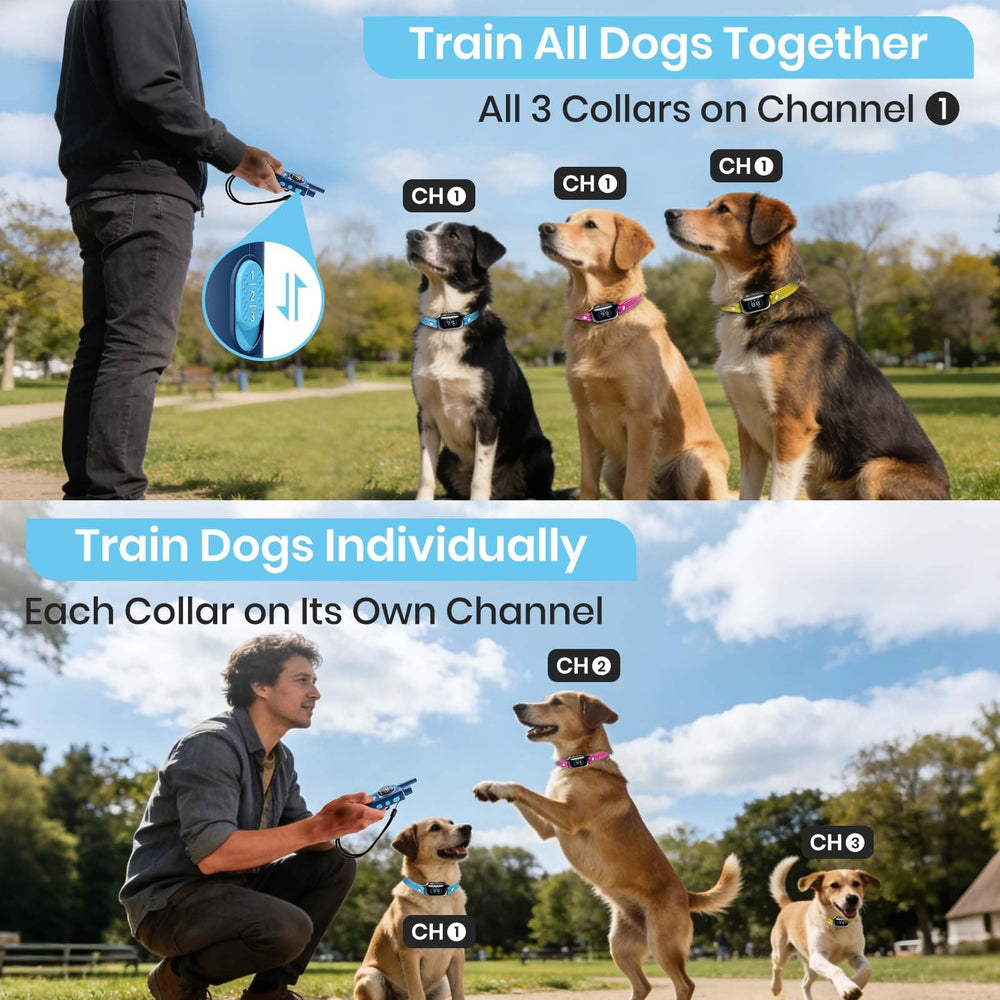 PetJoy modo Lock: tono y vibración seguros para perros grandes o sensibles.