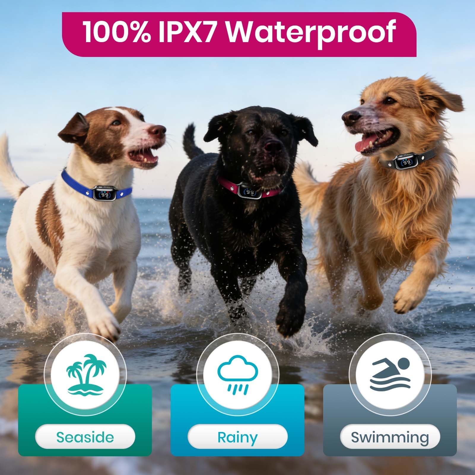 PetJoy sistema para tres perros que facilita entrenamiento sincronizado