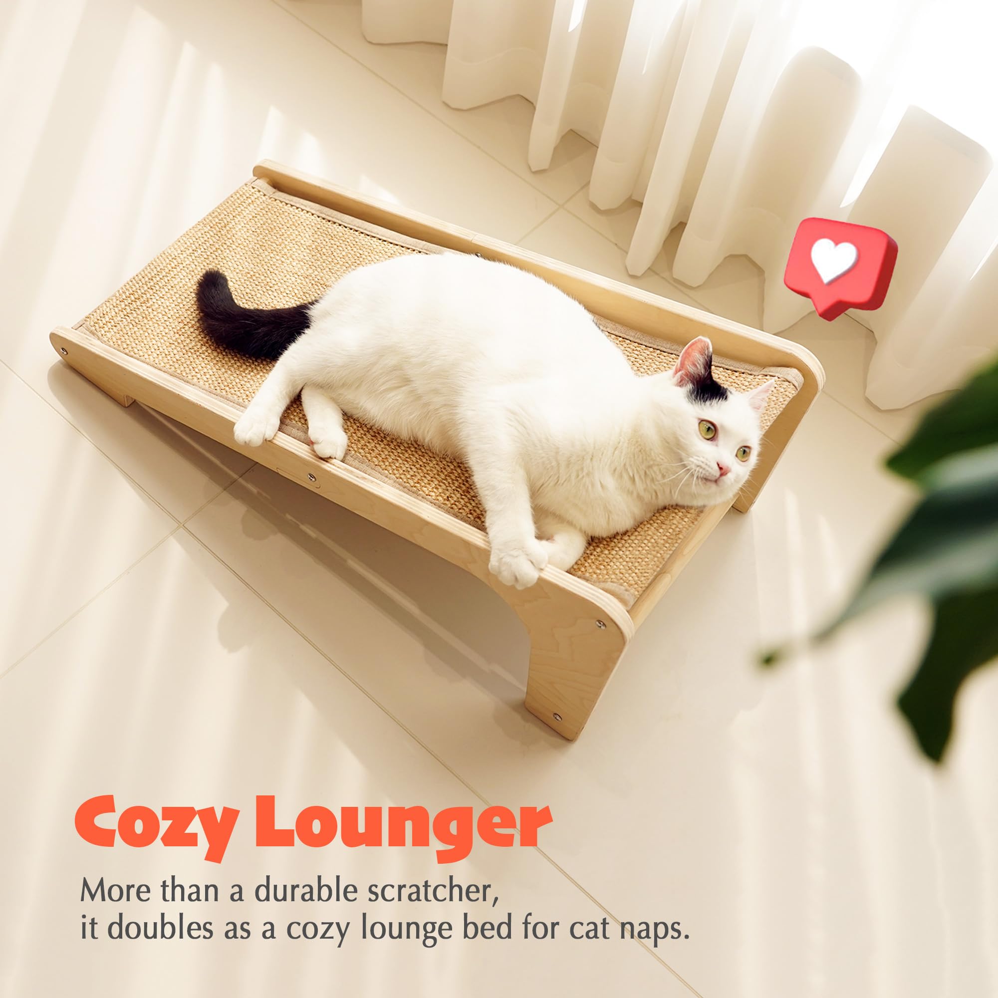PETKARAY uso recomendado en interiores para gatos activos.