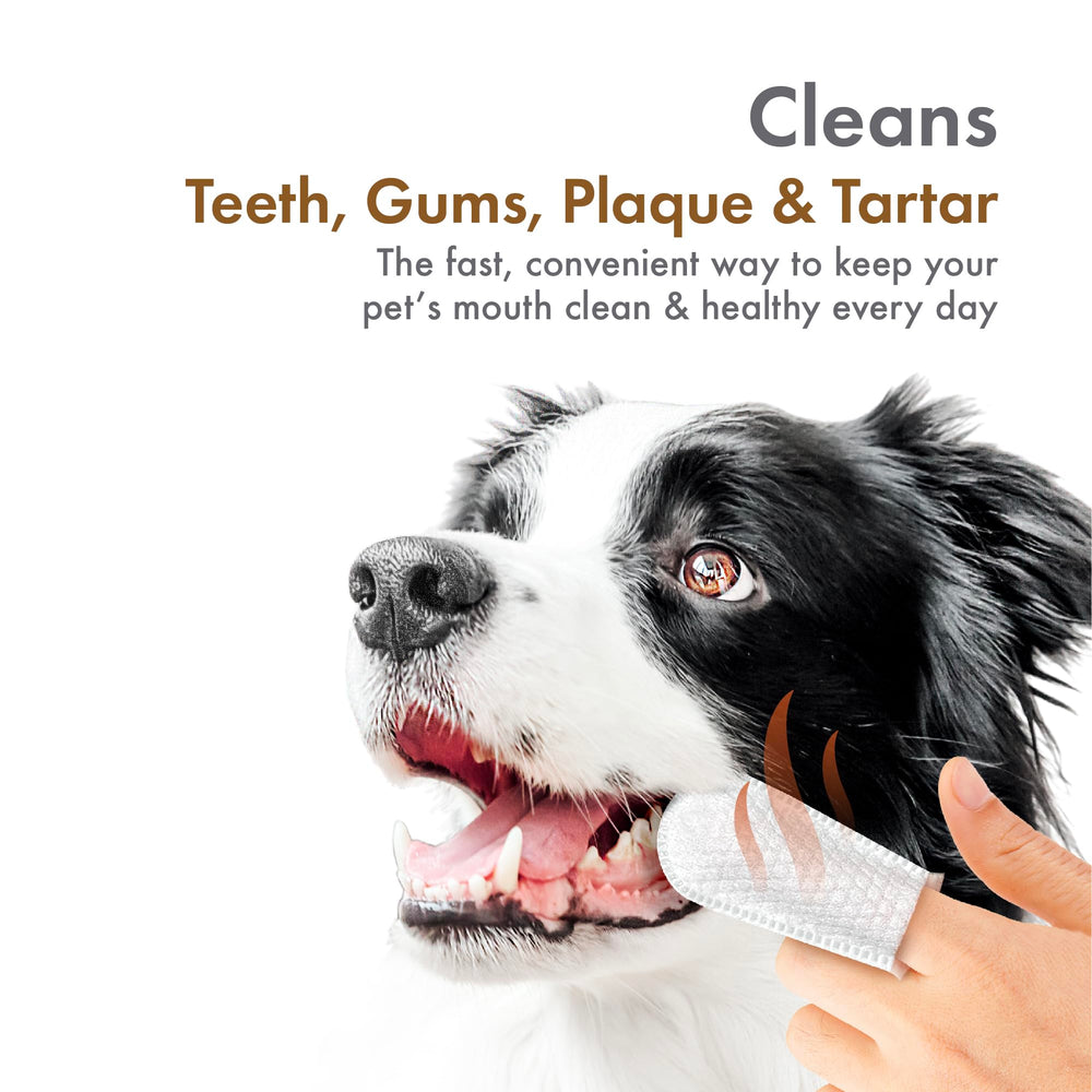 Petkin fibras micro limpian dientes con suavidad.