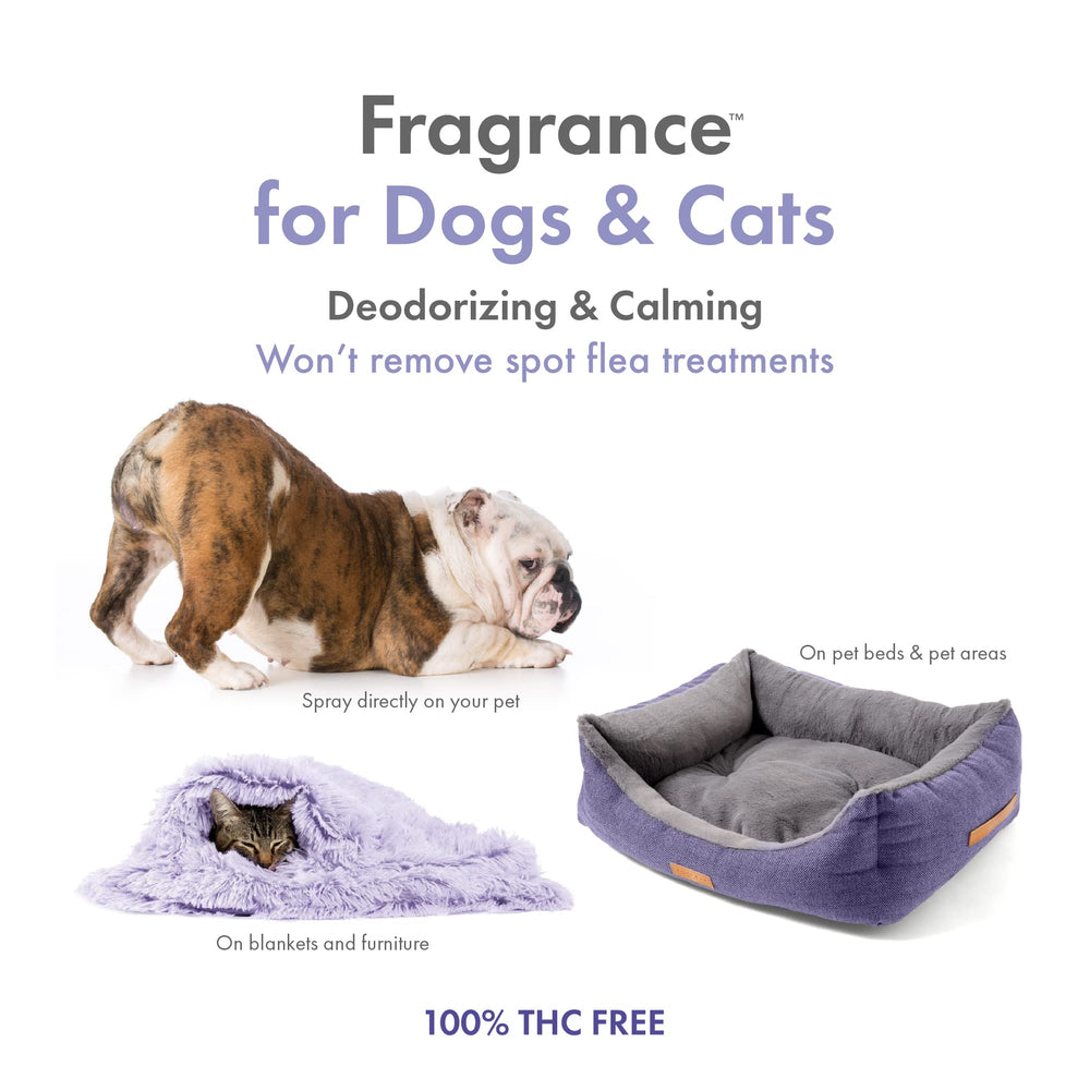 Petkin fragancia cáñamo, spray para suavizar el pelaje y dar brillo.