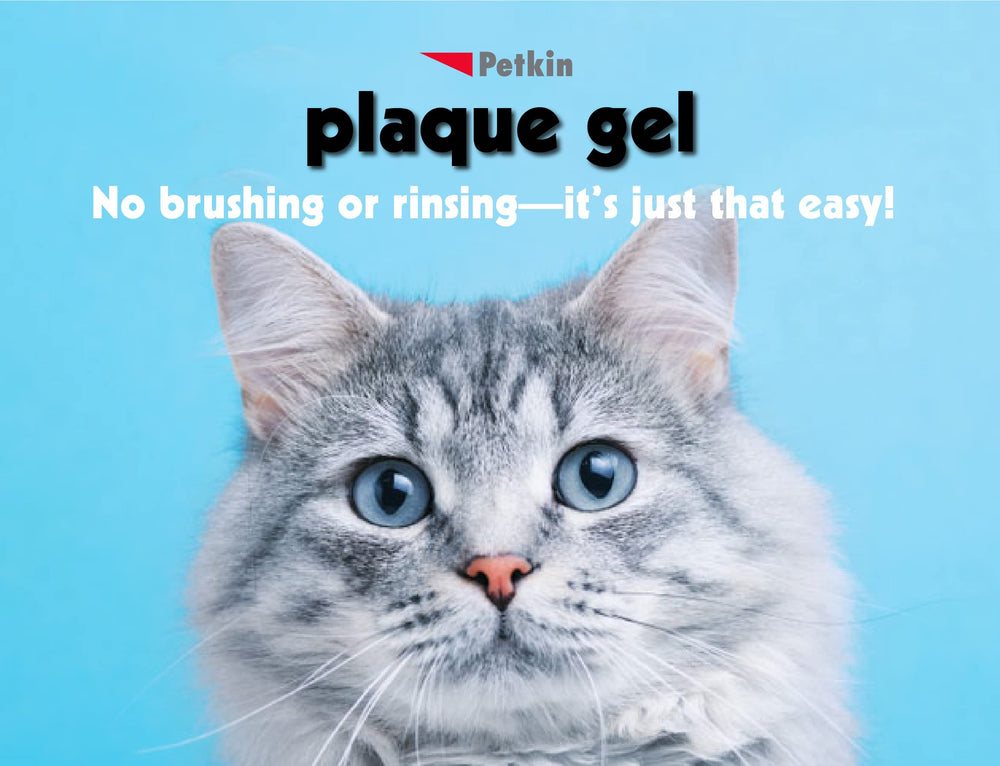 Petkin gel dientes y encías limpiados, reduciendo placa con cada uso.