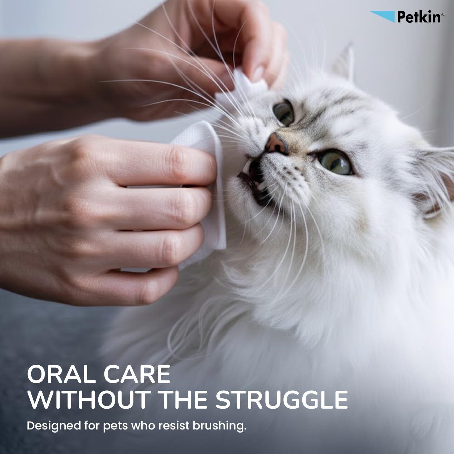 Primer plano de dientes y encías con toallita dental Petkin.
