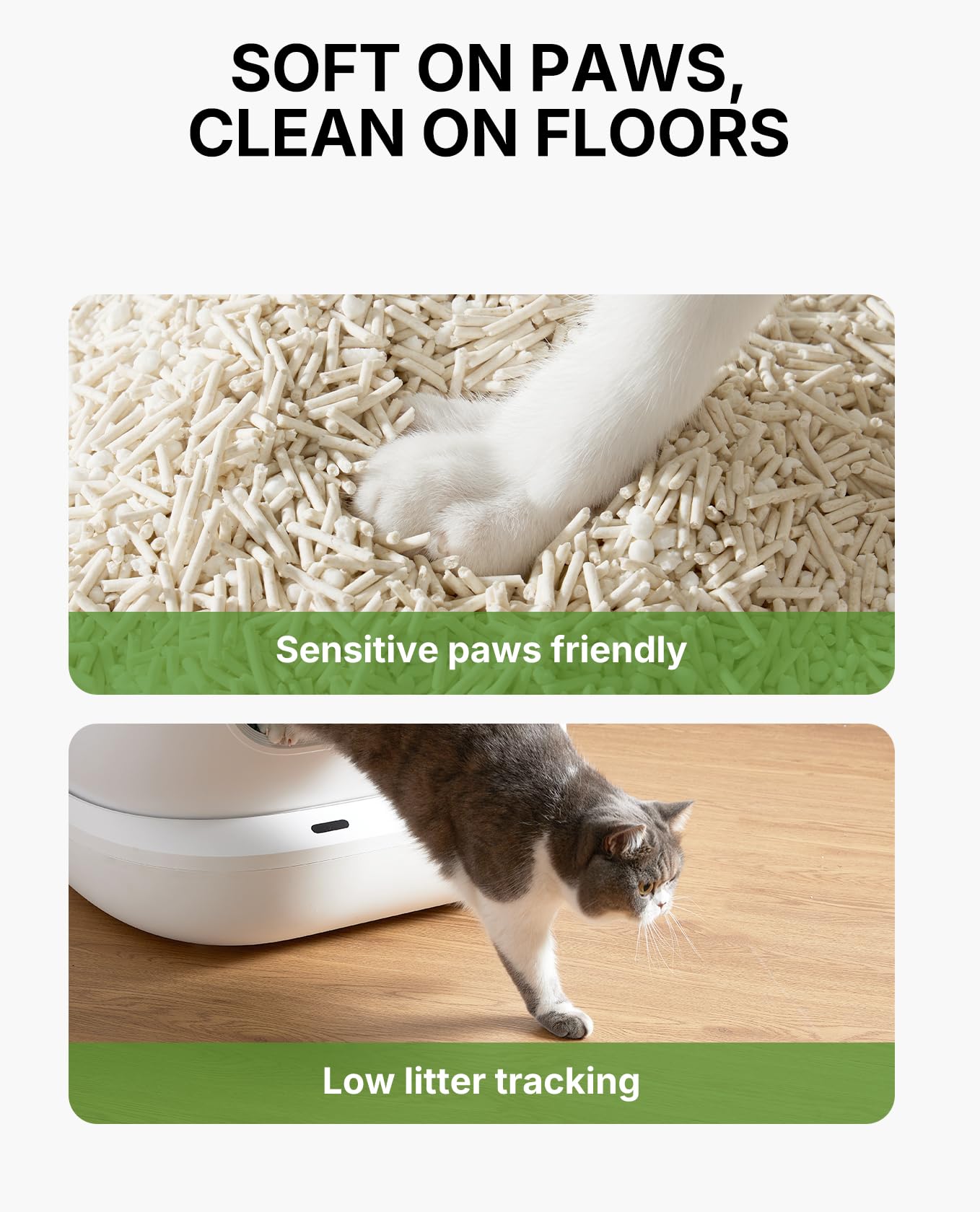 PETKIT arena para gato, bajo rastro y piso más limpio
