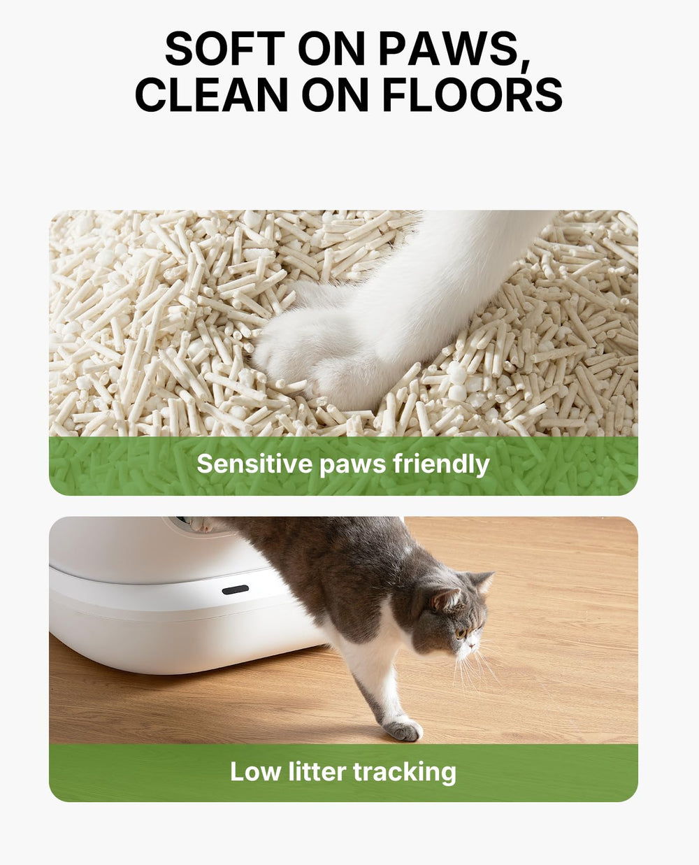 PETKIT arena para gato, bajo rastro y piso más limpio