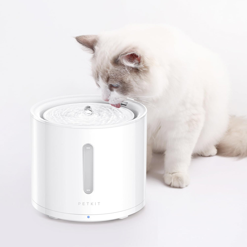 PETKIT EVERSWEET Solo 2 incluye cepillo de limpieza para mantenimiento.