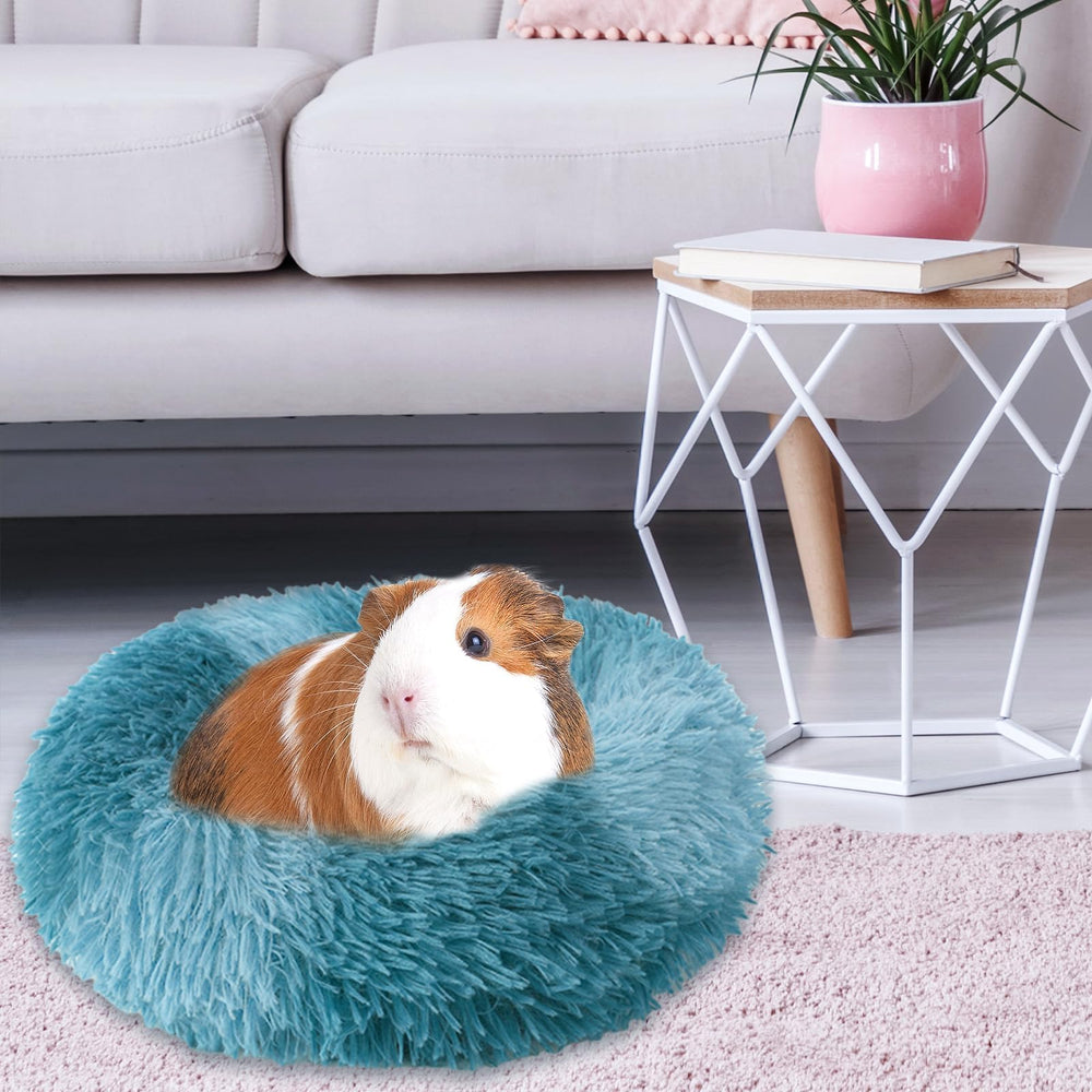 PETKNOWS cama para conejos enanos, espacio cómodo para descansar.