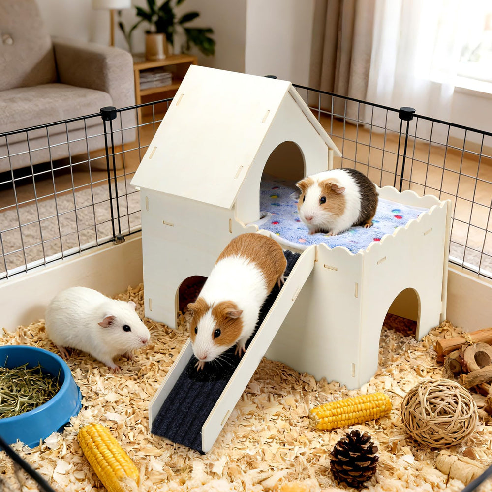 PETKNOWS usos múltiples; refugio y juego para varias mascotas.