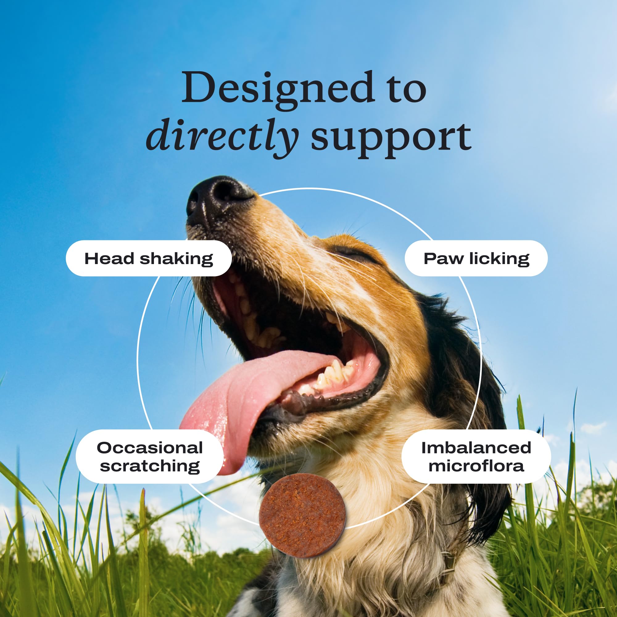 PetLab Co probióticos para perros, empaque puede variar, calidad constante.