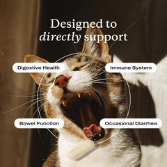 PetLab Co probióticos para gatos, tamaños variados, apto para hogares con varios felinos.