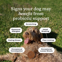 PetLab Co Probiotics, empaque 30 pastillas, dosificación sencilla para perros pequeños
